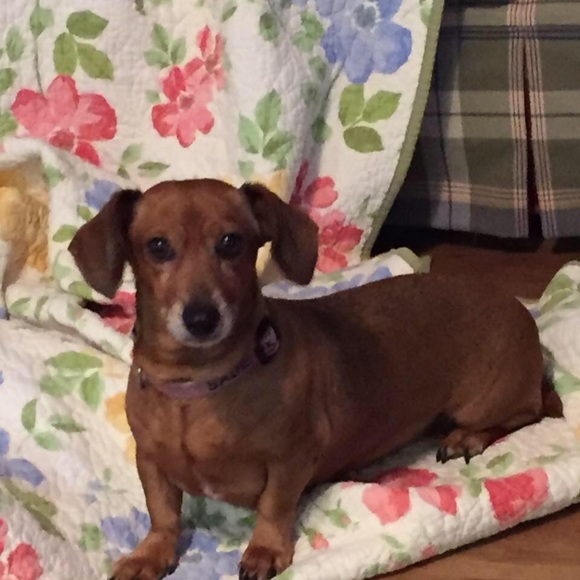 Meet your Posher, Leslie - Picture 1 of 1